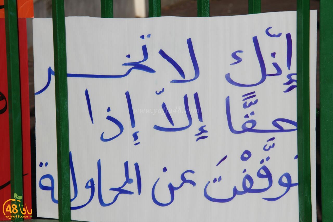 idrab shamela (10).jpg